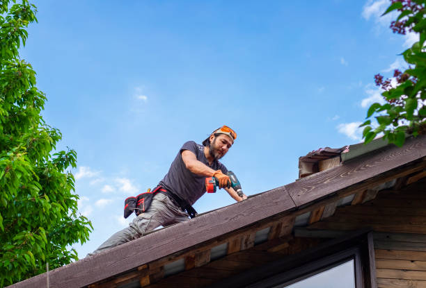 Best Asphalt Shingle Roofing  in Westwood, MI