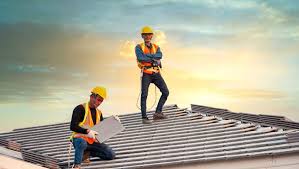 Best Roof Moss and Algae Removal  in Westwood, MI